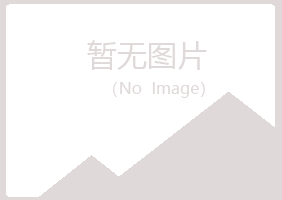 咸阳夏岚建设有限公司